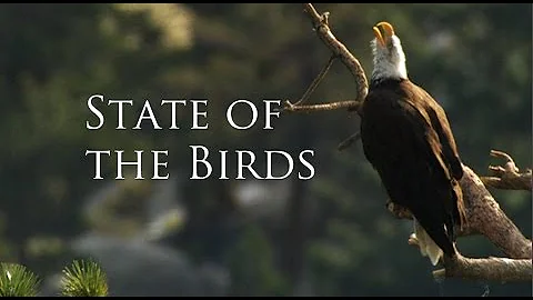 The State of the Birds 2014 - DayDayNews
