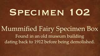 Mummified Fairy Specimen Box by Artist Iva Wilcox 2021