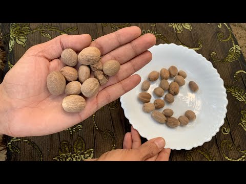 هذه الجوزة بها فوائد خيالية لن تصدقها ولكن الكثير لا يعرف كيف يستخدمها شاهد الفوائد والاستخدام الصح