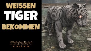 Weisser Tiger | Tierbegleiter-Guide | Conan Exiles