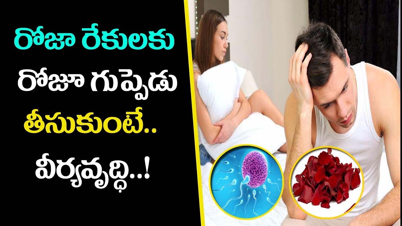 రోజా రేకులను రోజూ గుప్పెడు...వీర్యవృద్ధి Rose Petels Health Benefits