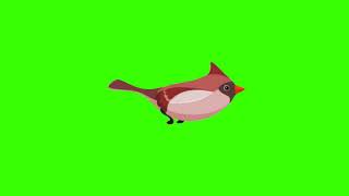 Cardinal green screen