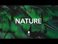Nature  dancehall x afrobeat x wizkid type beat instrumental