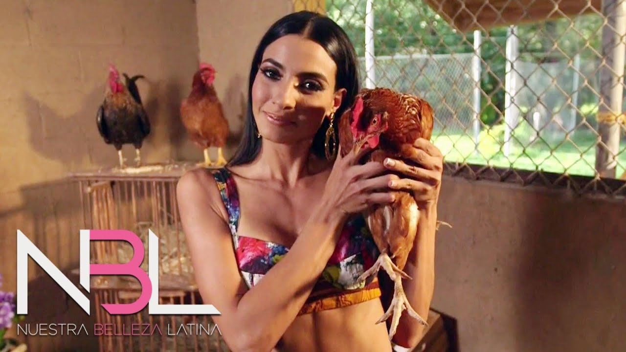 ¡La sesión de fotos de Patricia en el gallinero!