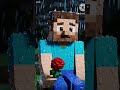 what steve so sad