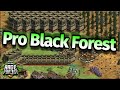 Pro black forest action