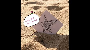 正念藝術Zentangle Patterns禪繞畫圖案~ Paradox variations
