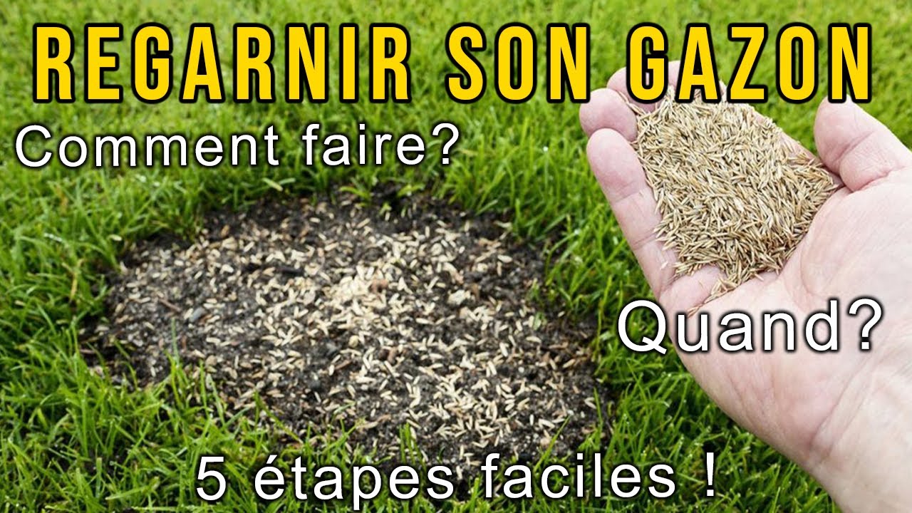 Regarnir le gazon : quand et comment semer ? - Gamm vert