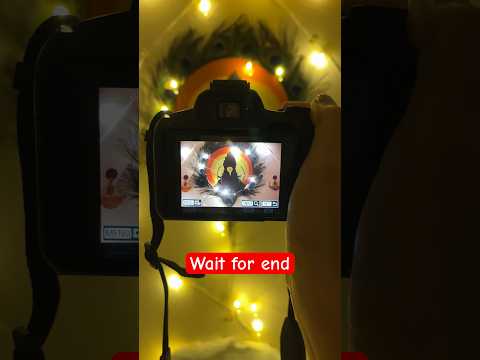 canon r50 night