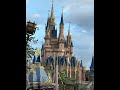 Fairytale Haven: The Castle of Wishes at Walt Disney World