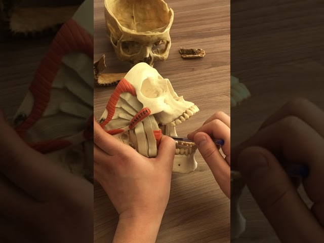 Флегмоны и абсцессы головы часть 2