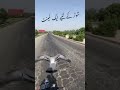 hand tame kabootar with bike #song