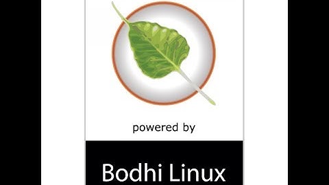 Logan tries Bodhi linux