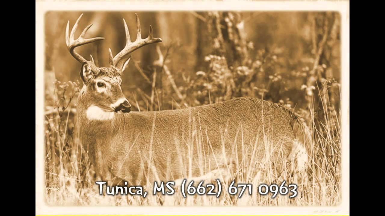 Deer Hunting Tunica, MS Casinos 6626719467 Next Tunica Casino Trip YouTube