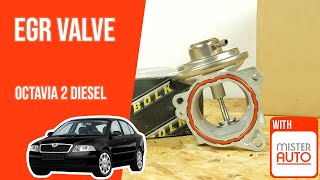 How to replace the EGR valve Octavia mk2 1.9 TDI ♻️