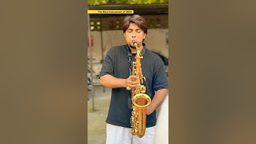 The Best Instrument  #shorts #Vendyfam