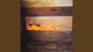 Calls from a Lost Conscience