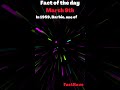 Fact of the day barbies debut by mattel factoftheday