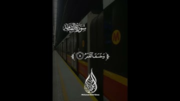 القارئ محمدعبدالقوى سورة القيامة تلاوة خاشعة جميلة جدا 😌❤ بصوت يريح القلب