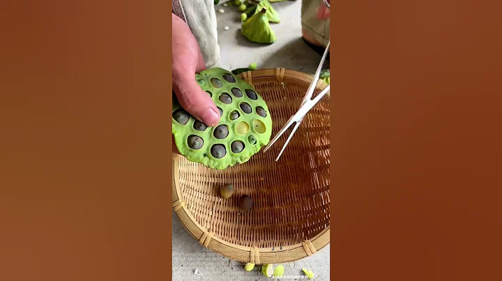 Lotus seed picking clips: the ecological wisdom of traditional farming tools