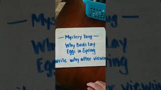 Why birds lay eggs in spring