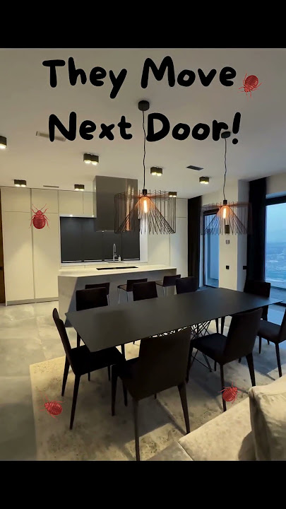 Did You Know Bed Bugs Can Spread in Apartments?