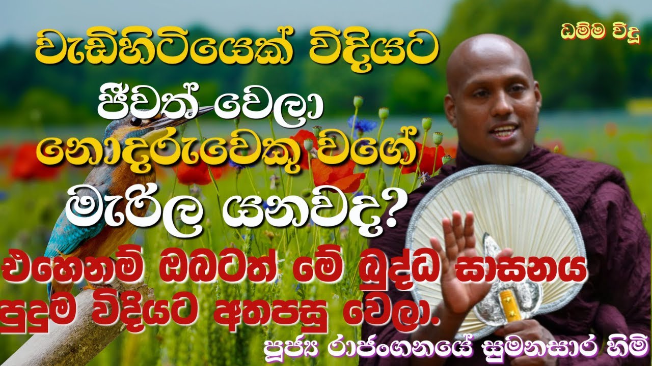 අහන්න පුදුම උවමනාවකින් මේ  දහම් දෙසුම 🙏🙏🙏🙏 @dhammavidu- Rajangane sumanasara Thero