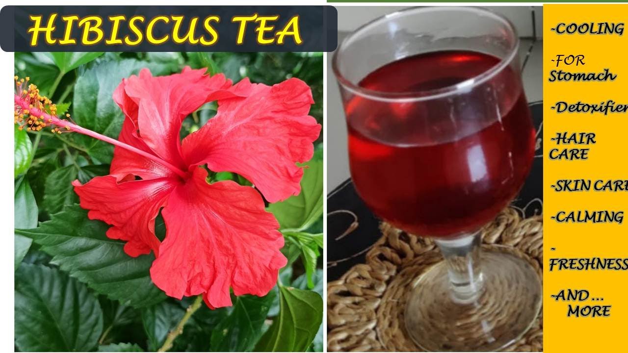 how-to-make-hibiscus-tea-sharbat-make-fresh-hibiscus-flower-tea-at
