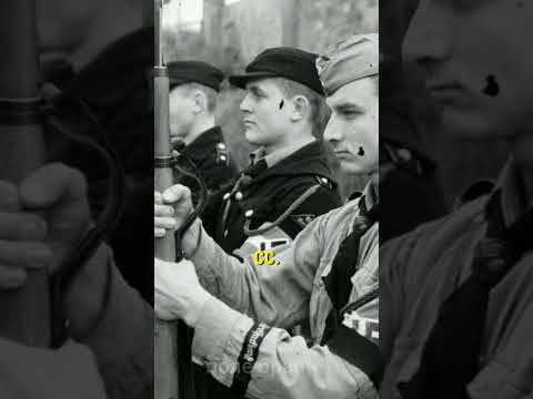 Кто из граждан Советского Союза встал на защиту Рейхстага? #shorts