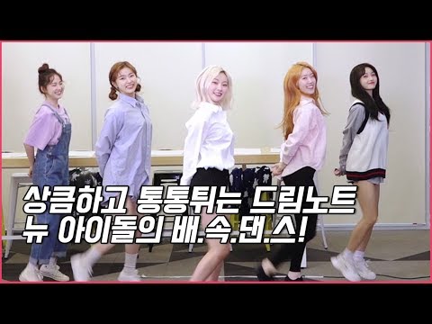 |드림노트 DreamNote | ep.11 🎶하쿠나 마타타(Hakana matata) 🎵[불쑥배속댄스]