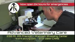 Advanced Veterinary Care rev mar 2015 H 264 LAN Streaming