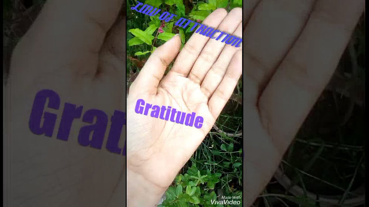 Use Gratitude and Law of attraction to change your life fast  Law of attraction in Hindi loa