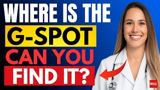 Urologist What Exactly Is The ? Its Real Everything To Know About Female Ual Anatomy