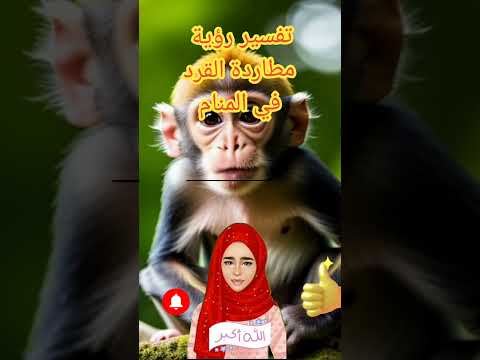 تفسير رؤية مطاردة القرد في المنام لابن سيرين 