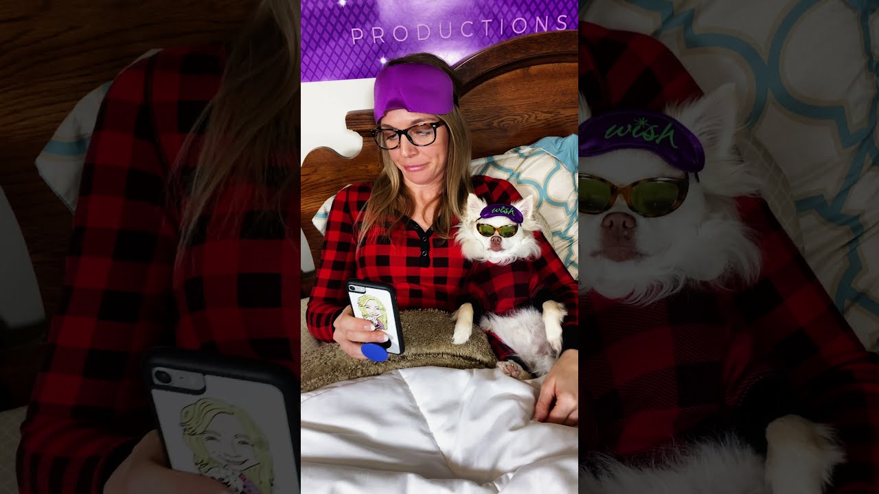 TikTok For You Page Friday Night | Comedy Dog Skit | The Furry Kiddos