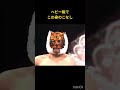 三沢さんタイガー最高🐯