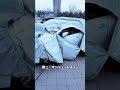 豊田章男が意味がないと考えている自動車メンテナンス6選（4~6）#雑談 #愛車紹介