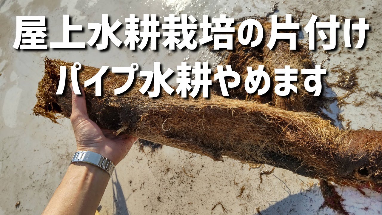 21年屋上水耕栽培場 片付けの様子 Youtube 21年屋上水耕栽培場 片付けの様子 Youtube