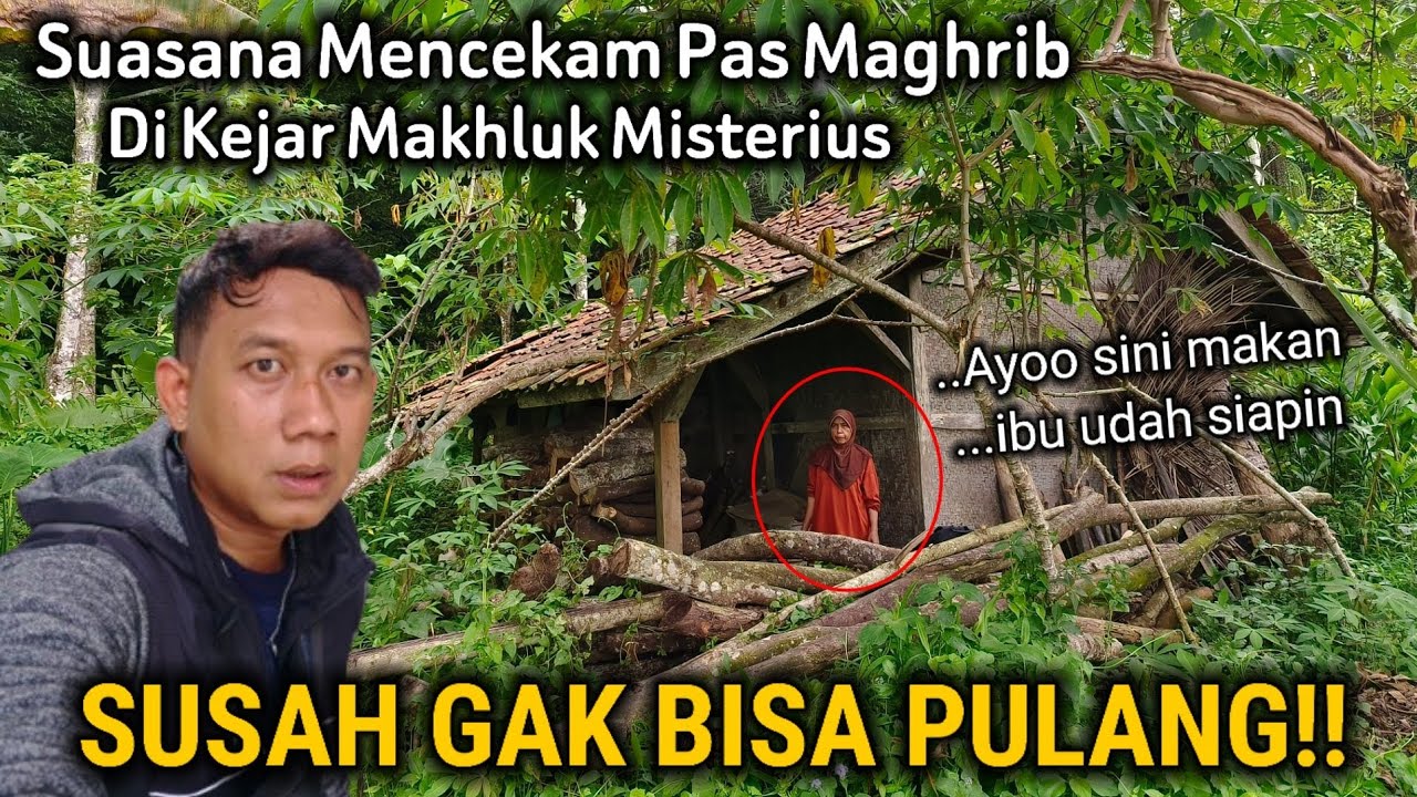 TERJEBAK DAN HILANG DI HUTAN ANGKER!! BERTAHAN HIDUP DAN TIDUR SELAMA 10 TAHUN DI BEKAS RUMAH KOSONG