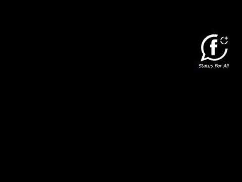 اصاله فات الوقت وانا مضطره اقولك لا