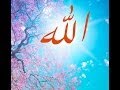 تلاوة رائعه من سورة مريــم بصوت الشيخ عبد العزيز علي فرج رحمه الله تعالى