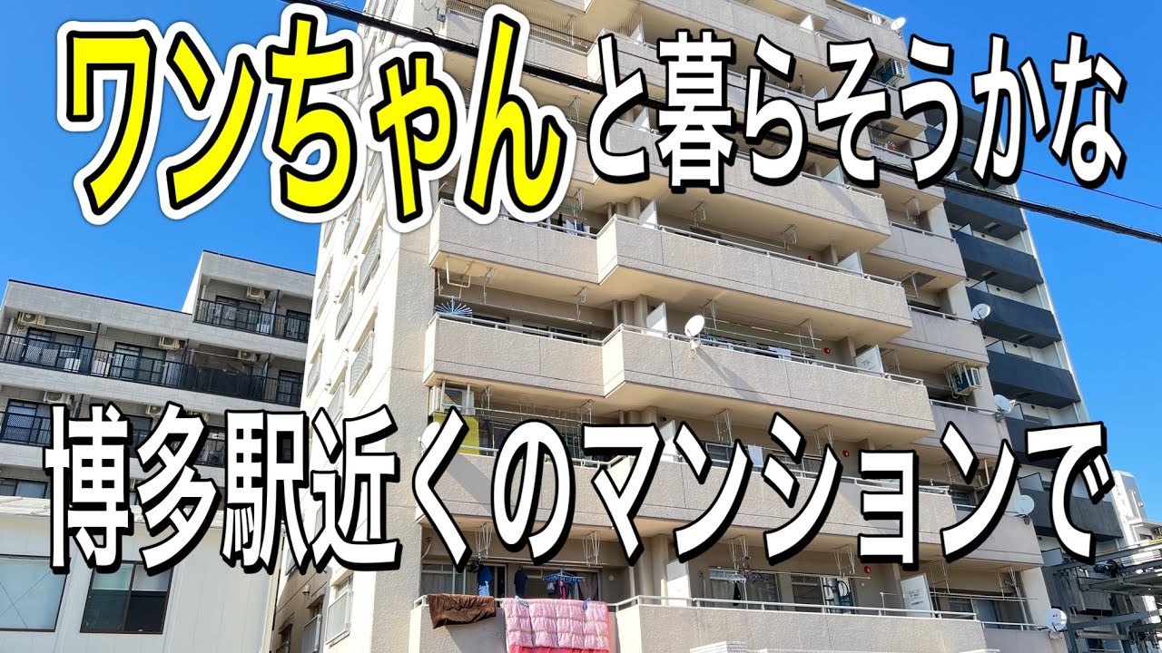 博多駅まで徒歩16分！ペット飼育相談！コンパクトな6階角部屋の★リノベマンション★シティライフ美野島・福岡市博多区美野島