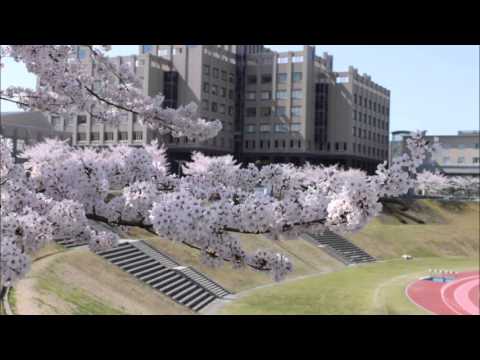2016年 立命館大学女子ラクロス部 新歓ムービー