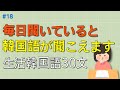 [ワクワク韓国語] 毎日聞いていると韓国語が本当に聞こえます! 生活韓国語 30文 | 韓国語会話, 韓国語ピートリスニング, 韓国語聞き取り