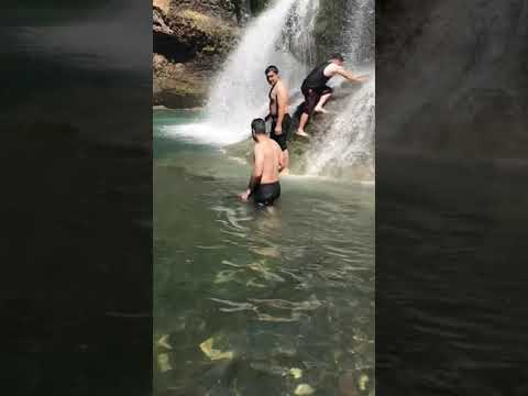 همراي رفيق ها