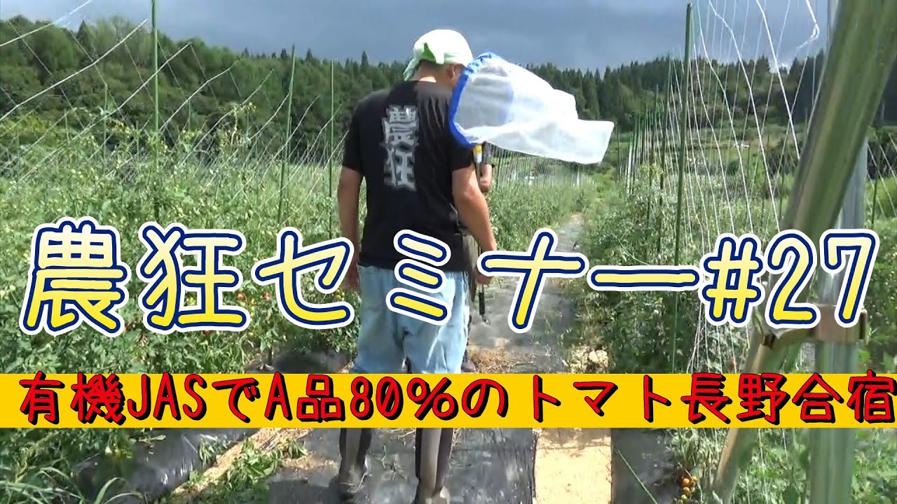 有機ＪＡＳでＡ品率80%トマト長野合宿