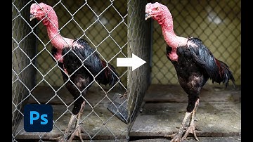 Remove Fence in photoshop with content-aware fill feature