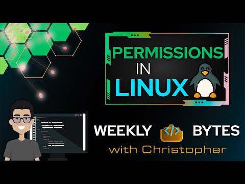 Weekly Bytes | Permissions in Linux