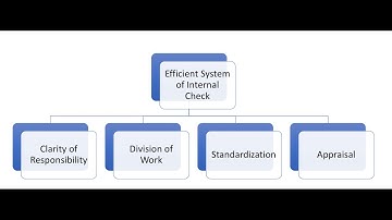 Internal Check System - Audit