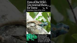 2024 Teen Summer Reading